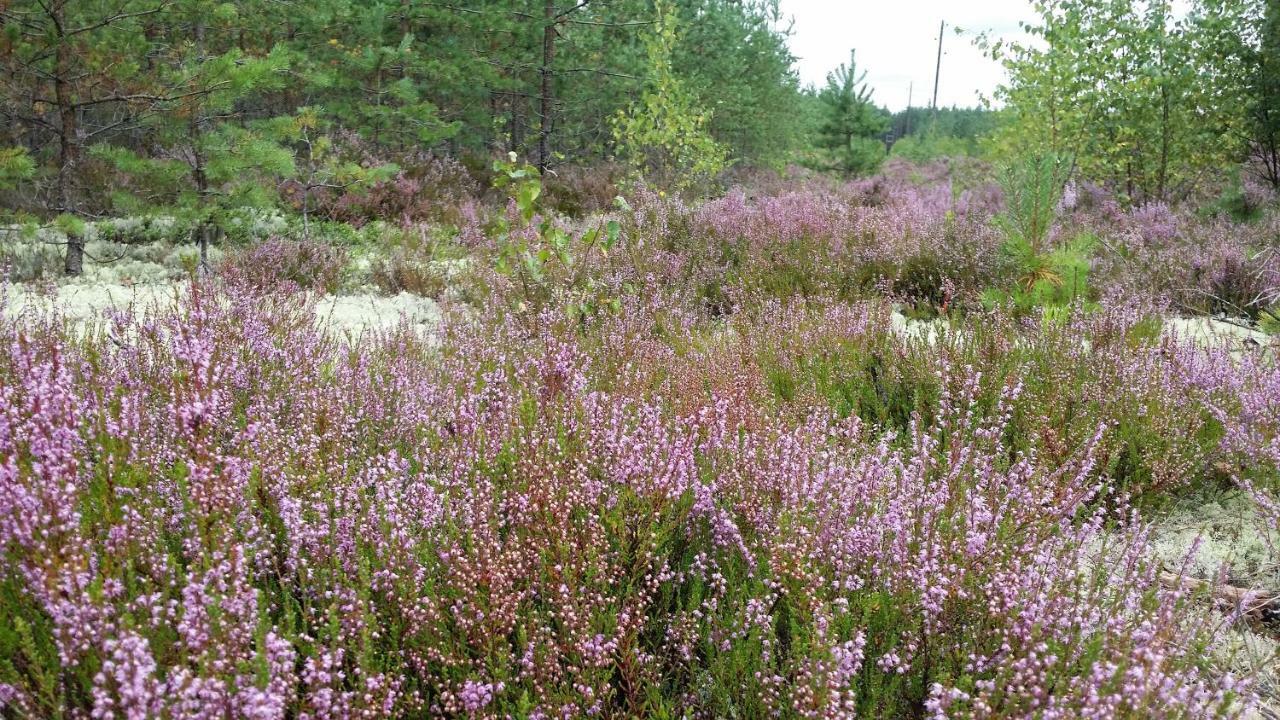 Bergervilla Mezmuiza Eksteriør bilde